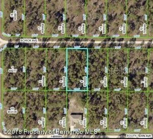 Unit for sale at 13352 SCHICK AVENUE, BROOKSVILLE, FL 34614