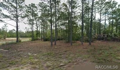 Unit for sale at 10599 N CALDERA AVENUE, CITRUS SPRINGS, FL 34433