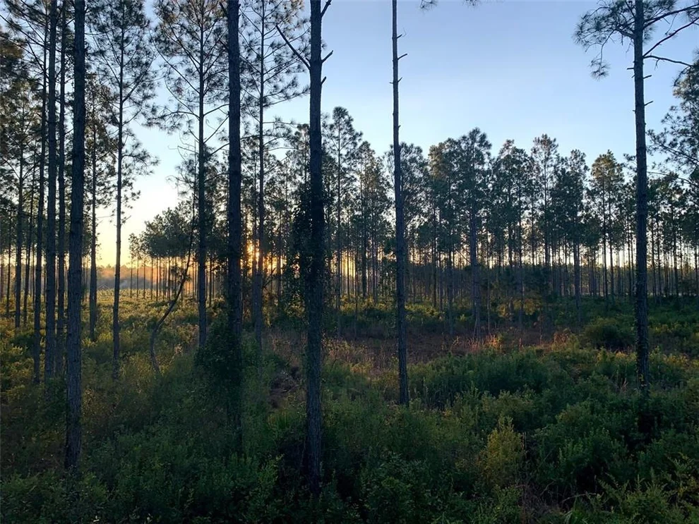 Unit for sale at CLYATT ROAD, CHIEFLAND, FL 32626