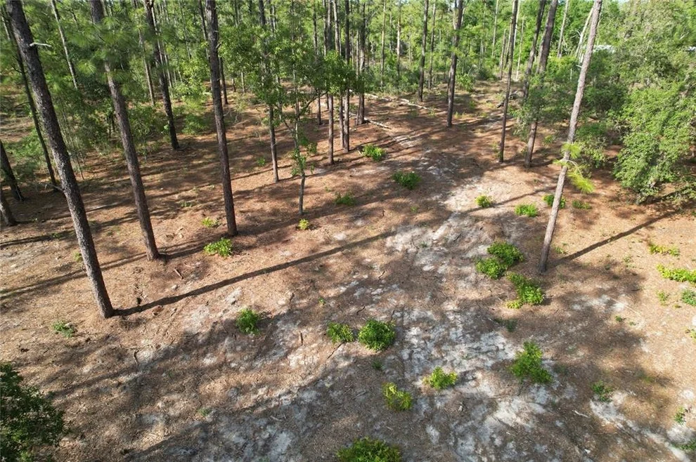 Unit for sale at SE 148TH COURT, MORRISTON, FL 32668