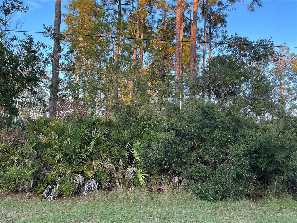 Unit for sale at 171 RYBERRY DRIVE, PALM COAST, FL 32164