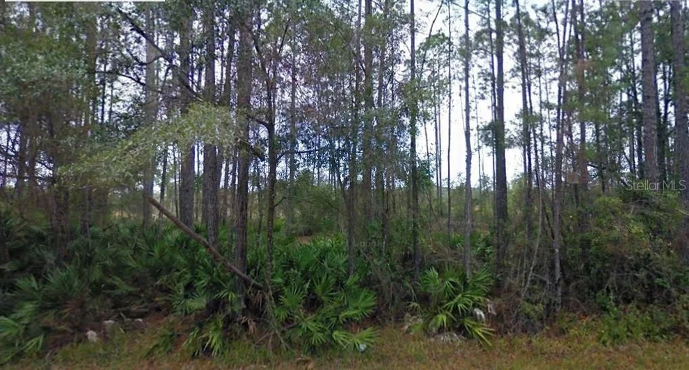 Unit for sale at NE 65TH AVENUE, CITRA, FL 32113