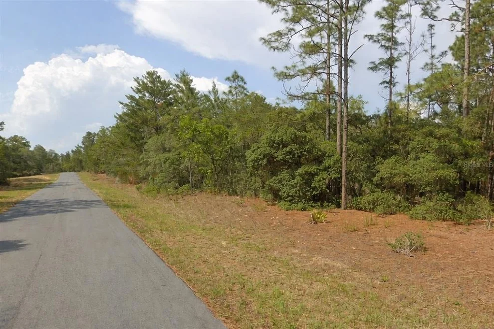 Unit for sale at 11033 N TRIGGER TERRACE, CITRUS SPRINGS, FL 34433