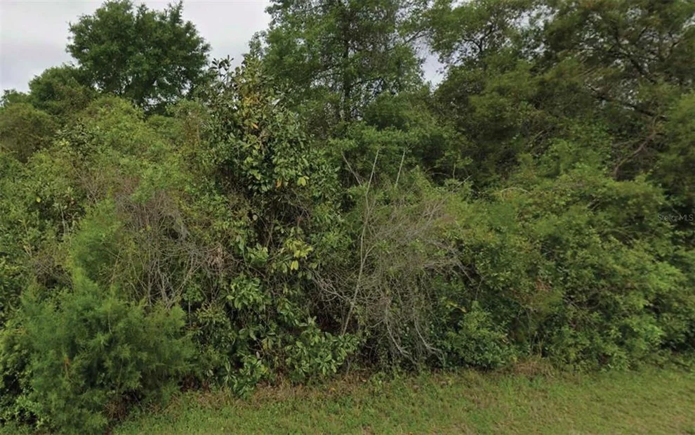 Unit for sale at NE 236TH LANE, FORT MC COY, FL 32134