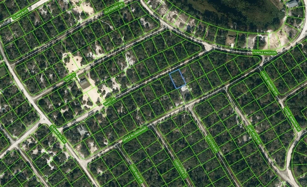 Unit for sale at 423 TAHITI LANE, LAKE PLACID, FL 33852