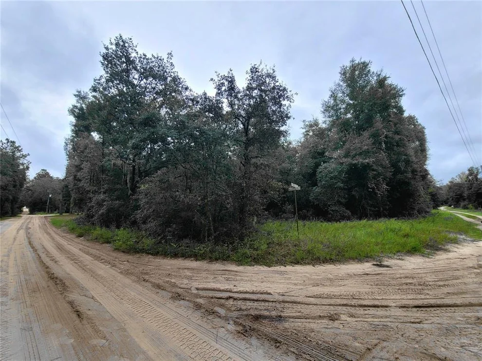 Unit for sale at TBD NE 81ST TER DRIVE, BRONSON, FL 32621
