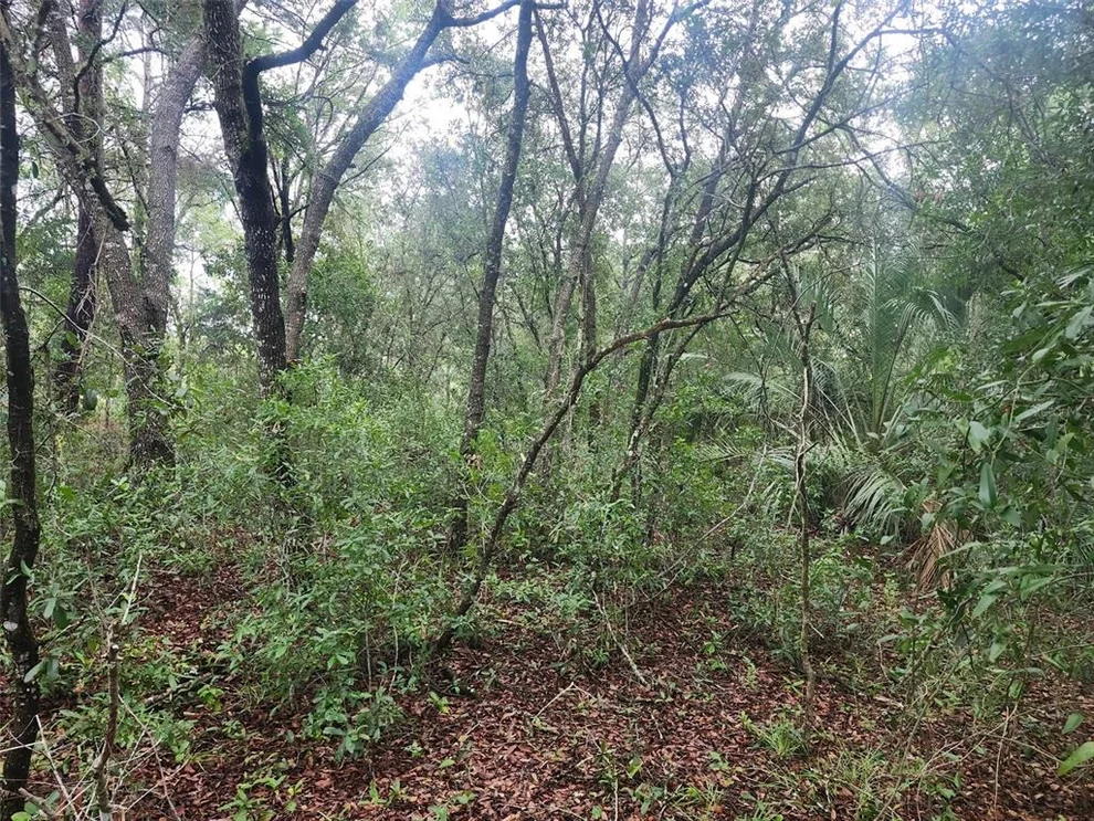Unit for sale at SW SANDS POINT AVENUE, DUNNELLON, FL 34432