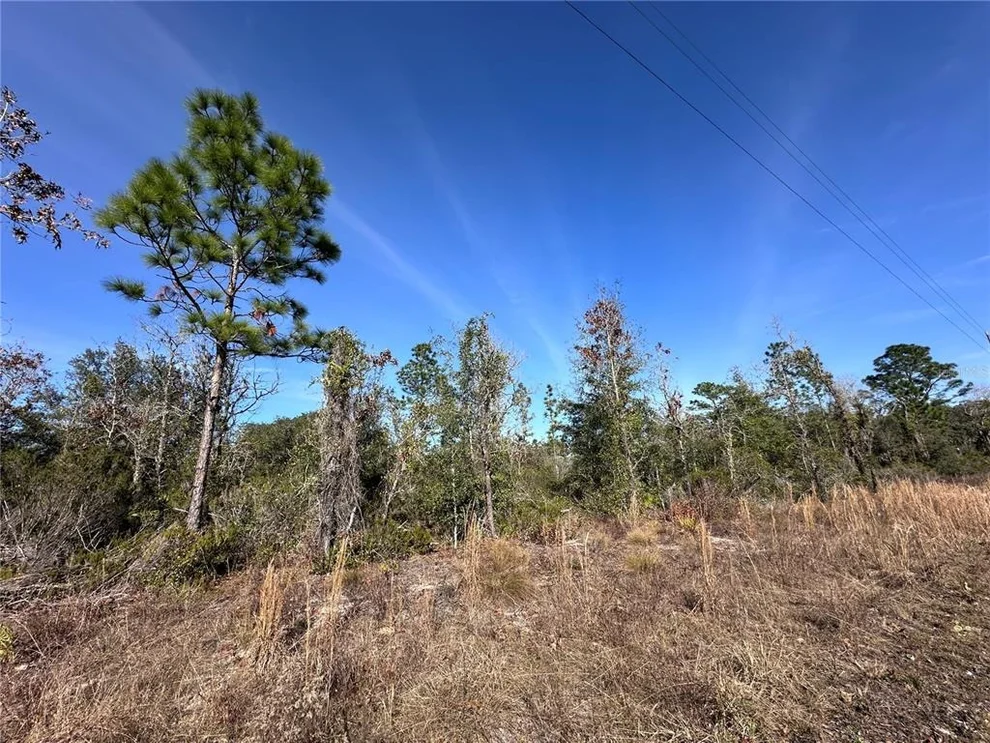 Unit for sale at tbd NE 117TH TERRACE, WILLISTON, FL 32696