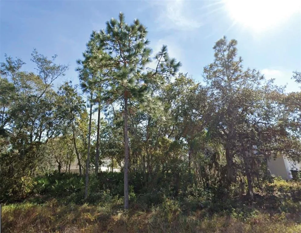 Unit for sale at 1626 PILCHARD COURT, POINCIANA, FL 34759