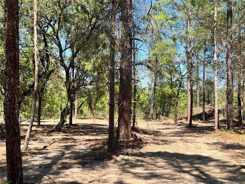 Unit for sale at 219 MAGNOLIA ROAD, HAWTHORNE, FL 32640