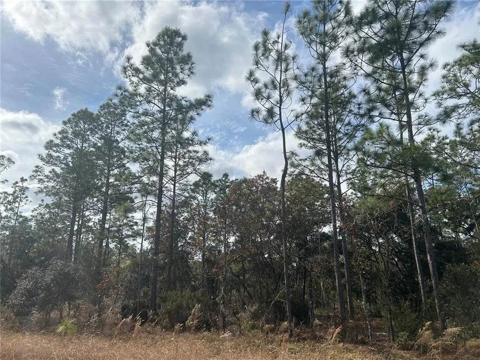 Unit for sale at TBD NE 149TH COURT, WILLISTON, FL 32696