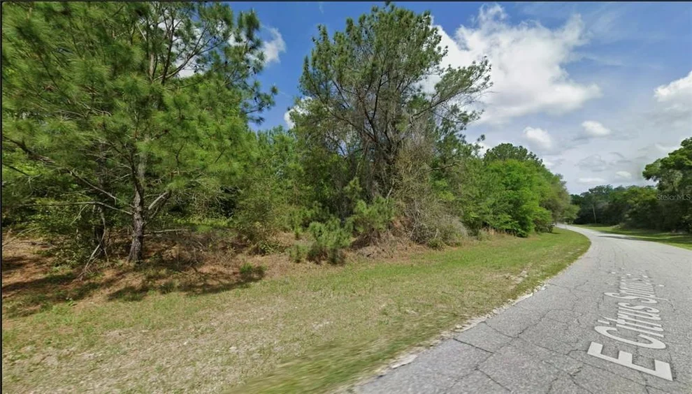 Unit for sale at 325 E CITRUS SPRINGS BOULEVARD, CITRUS SPRINGS, FL 34434