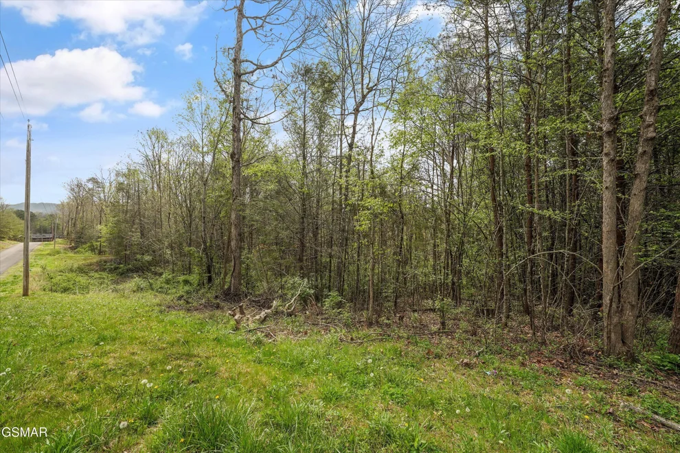 Unit for sale at 1433 Timber Trail, Newport, TN 37821