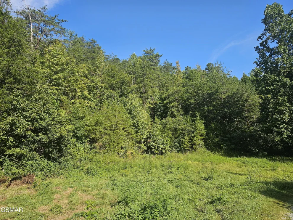Unit for sale at Lot 3 Franklin Way, Sevierville, TN 37862