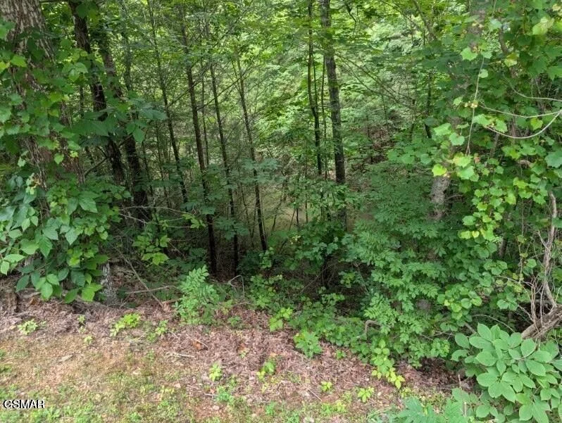 Unit for sale at 00 SKI MTN RD, Gatlinburg, TN 37738