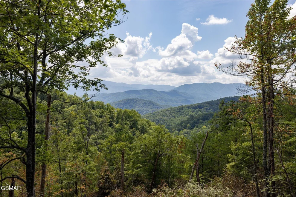 Unit for sale at 1080 Hembree Hollow Road, Townsend, TN 37882