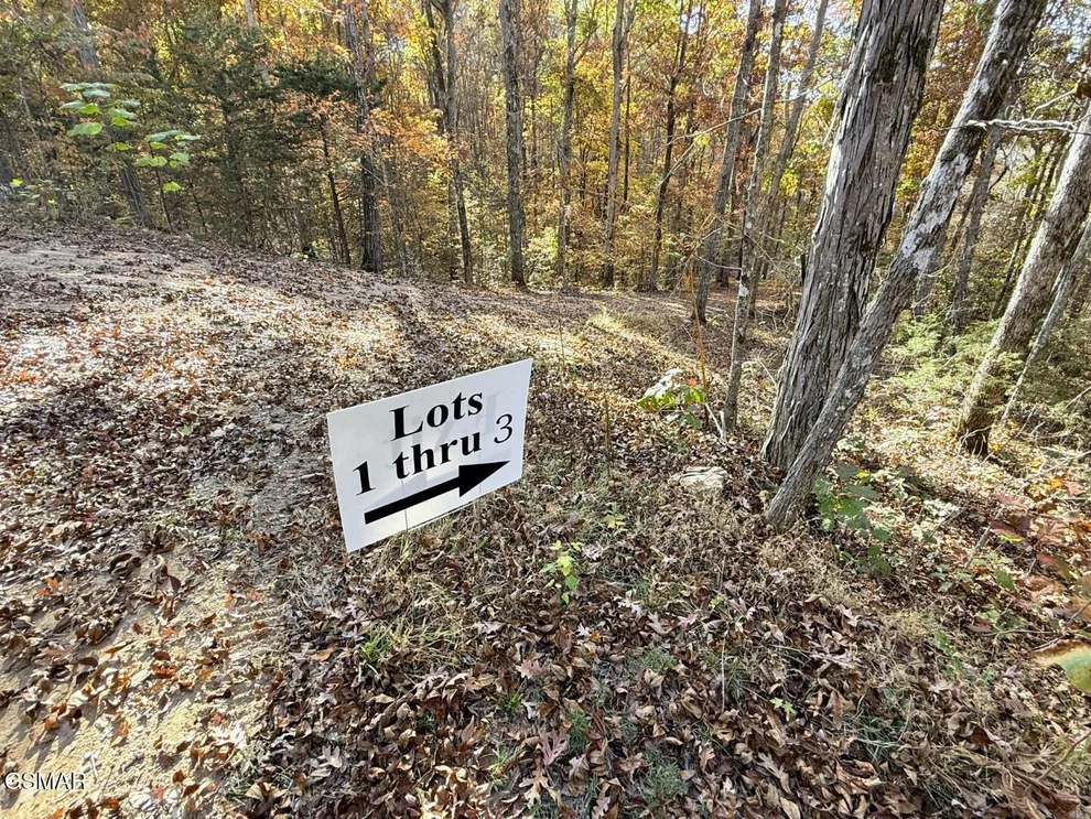 Unit for sale at Tracts 1-3 Topaz Way, Parrottsville, TN 37843