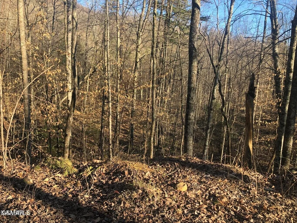 Unit for sale at Lot 68 Yellowwood Drive, Sevierville, TN 37876