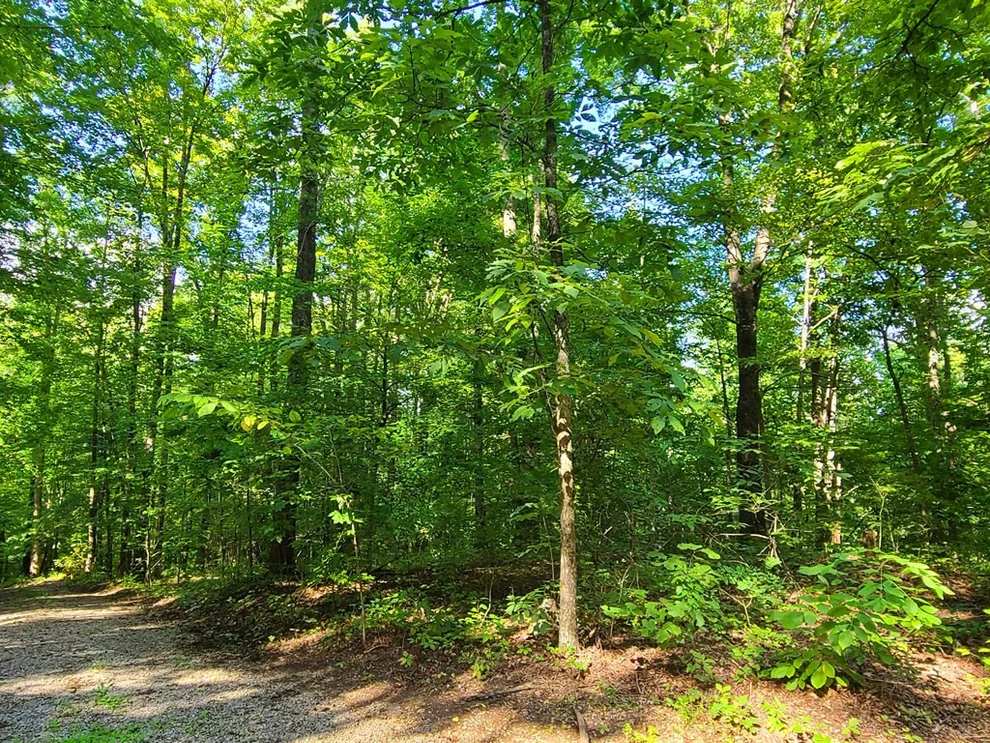 Unit for sale at Lot 9 Walden Flats Way, Sevierville, TN 37862