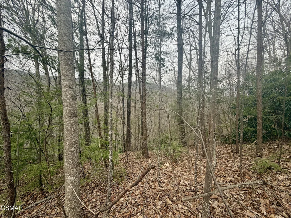 Unit for sale at Lot 6 Thissa Way, Gatlinburg, TN 37738