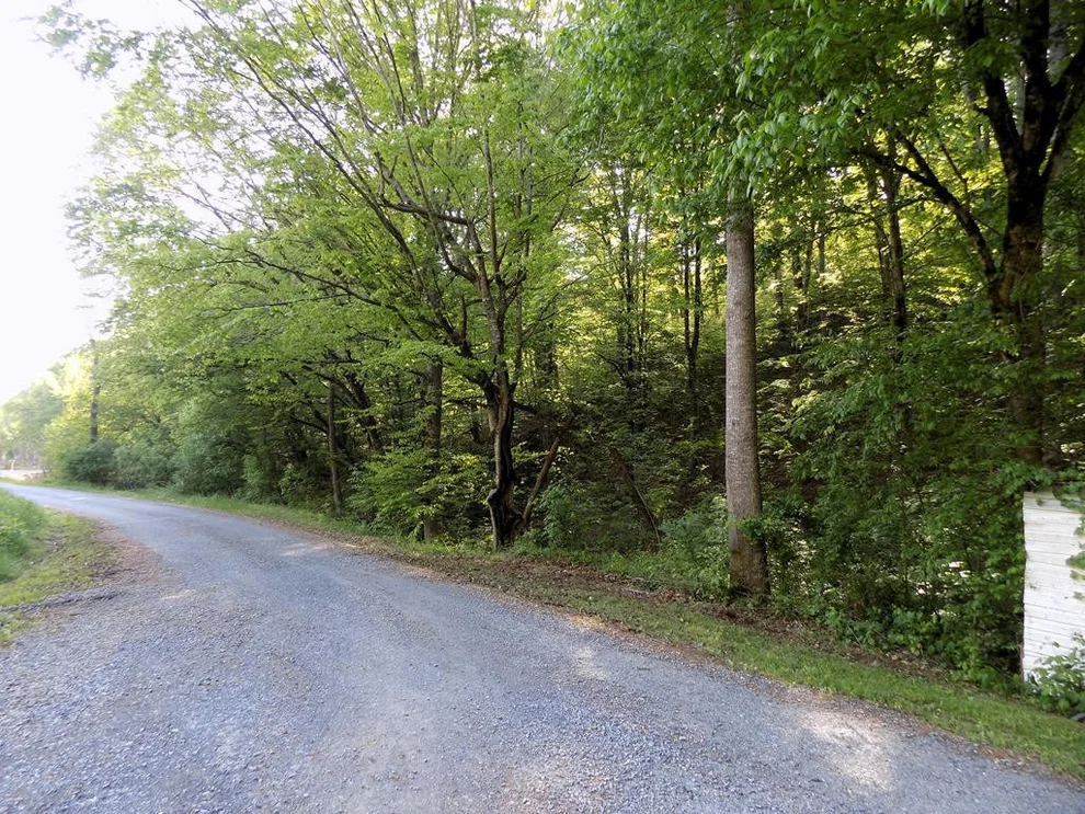 Unit for sale at Par 023.04 Driftwood Road, Cosby, TN 37722