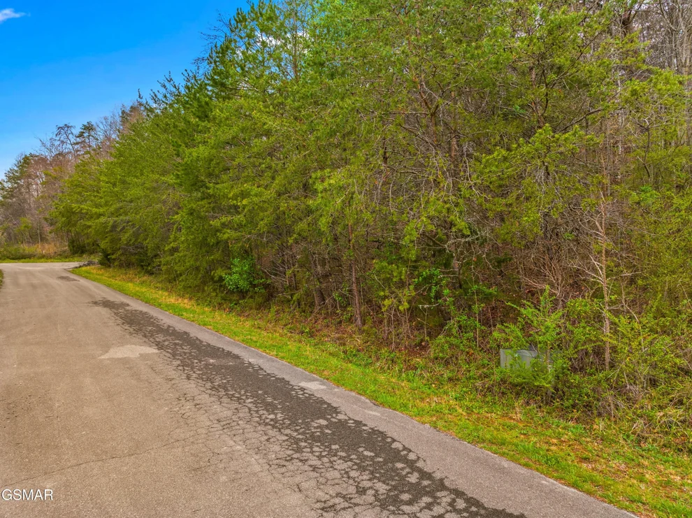 Unit for sale at 0 English Fields Drive, Newport, TN 37821