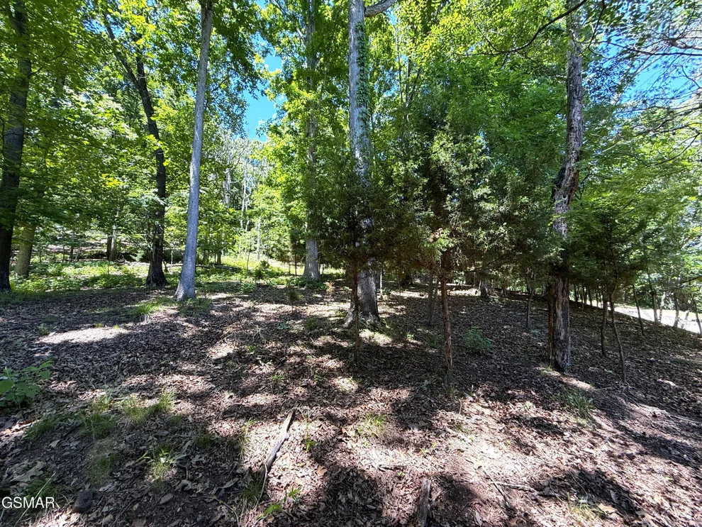 Unit for sale at 0 Harbor View, Mooresburg, TN 37811