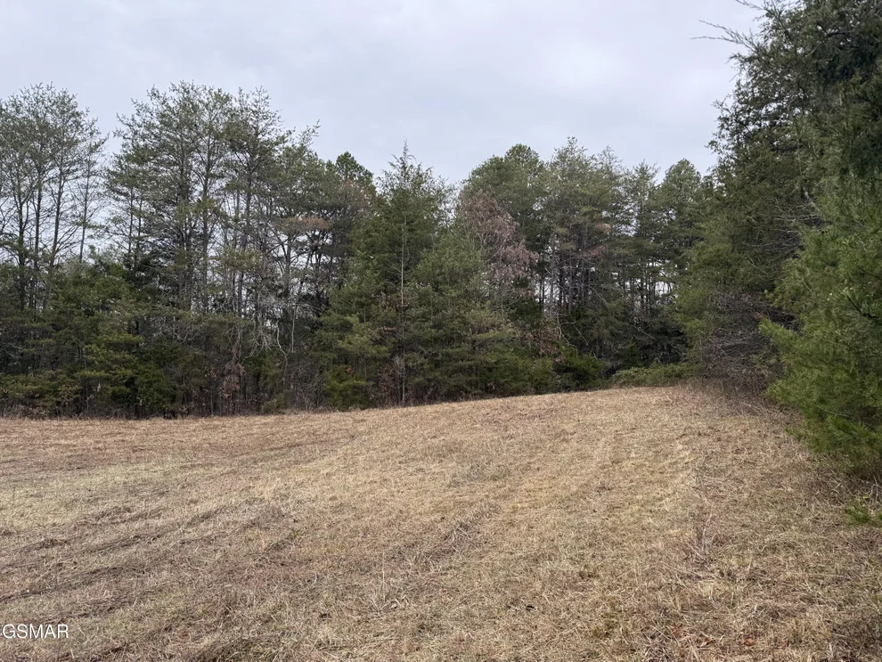 Unit for sale at 0 Off Allen Chapel Road, Parrottsville, TN 37843