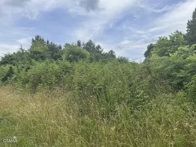 Unit for sale at 0 SaddleRidge Drive, Speedwell, TN 37870