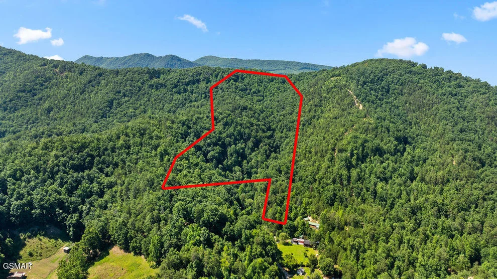 Unit for sale at 00 Boomer Way, Cosby, TN 37722