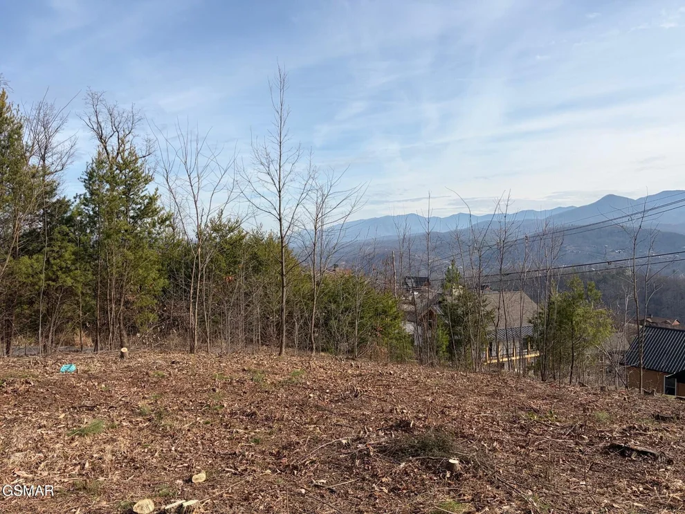 Unit for sale at 730 Wiley Oakley Drive, Gatlinburg, TN 37738