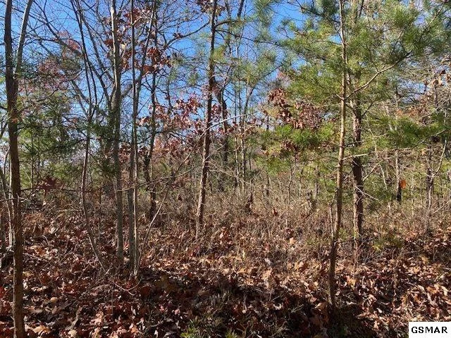 Unit for sale at Lot 69 Poplar Place, Sevierville, TN 37876