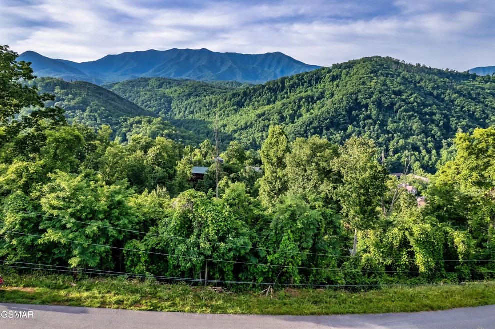 Unit for sale at Lot 0002 Ellis Ogle Road, Gatlinburg, TN 37738