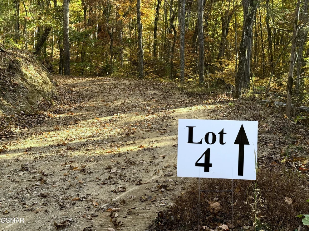 Unit for sale at Tract 4 Topaz Way, Parrottsville, TN 37843