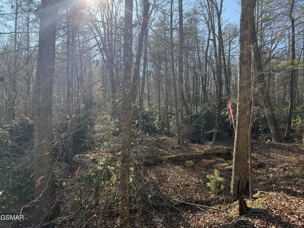 Unit for sale at 805 Bogard Creek Road, Cosby, TN 37722