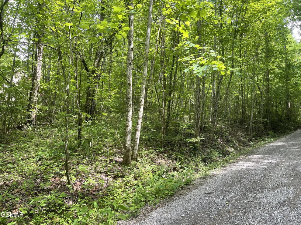 Unit for sale at Lot 4 Walden Flats Way, Sevierville, TN 37862