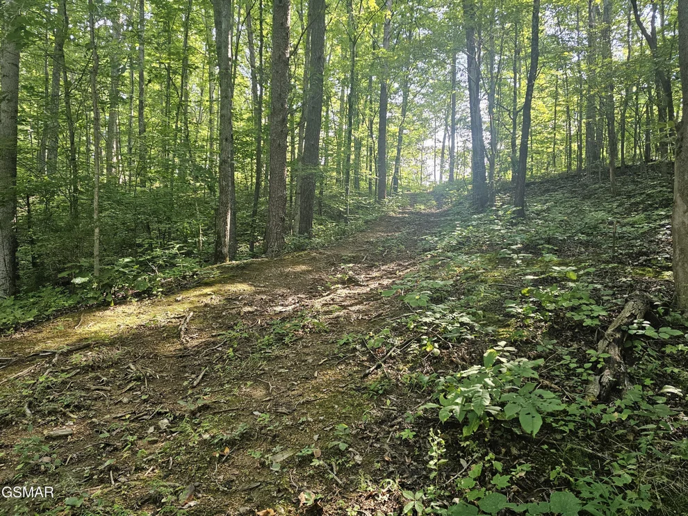 Unit for sale at Lot 2 Franklin Lane, Sevierville, TN 37876