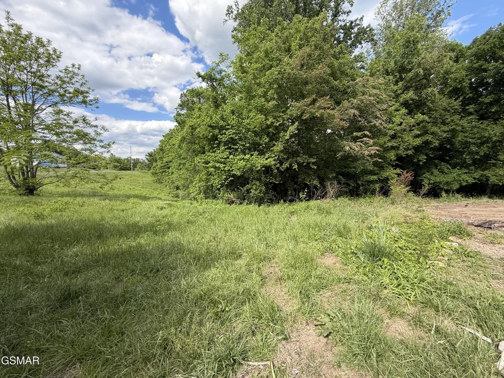 Unit for sale at 316 Wiley Town Road, Newport, TN 37821