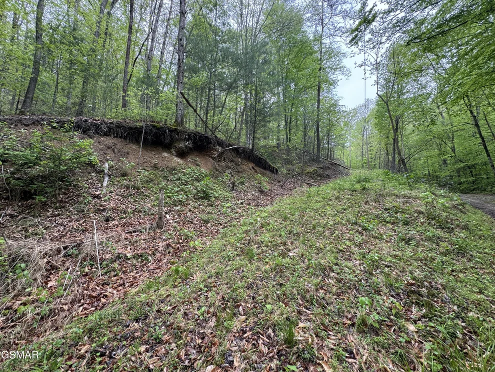 Unit for sale at 376 Summer House Hollow Road, Del Rio, TN 37727
