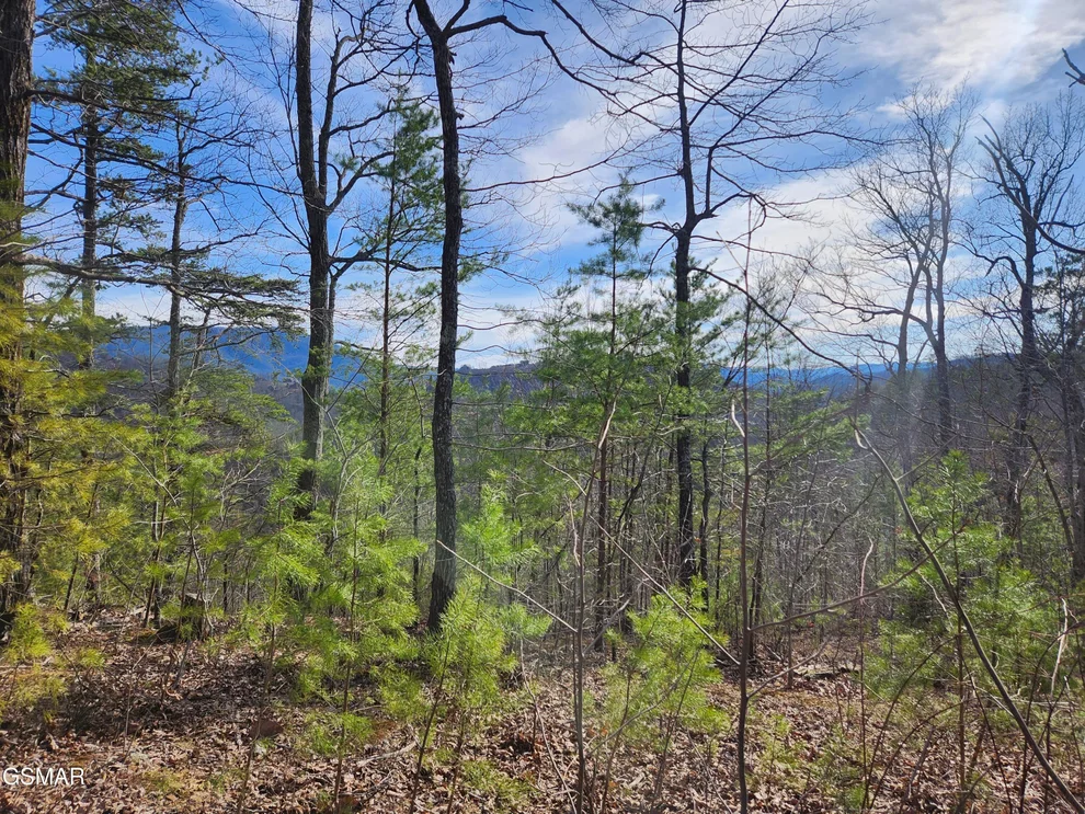 Unit for sale at Lot 46 Feld Wynde Close Way, Sevierville, TN 37862