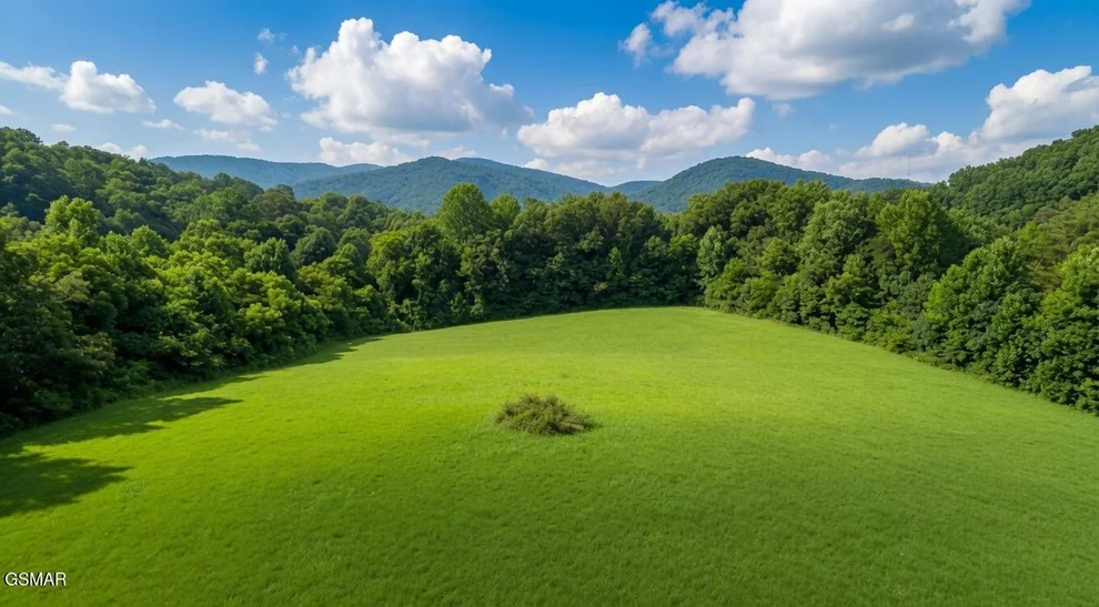 Unit for sale at Par 047.00 Highway 73, Newport, TN 37821