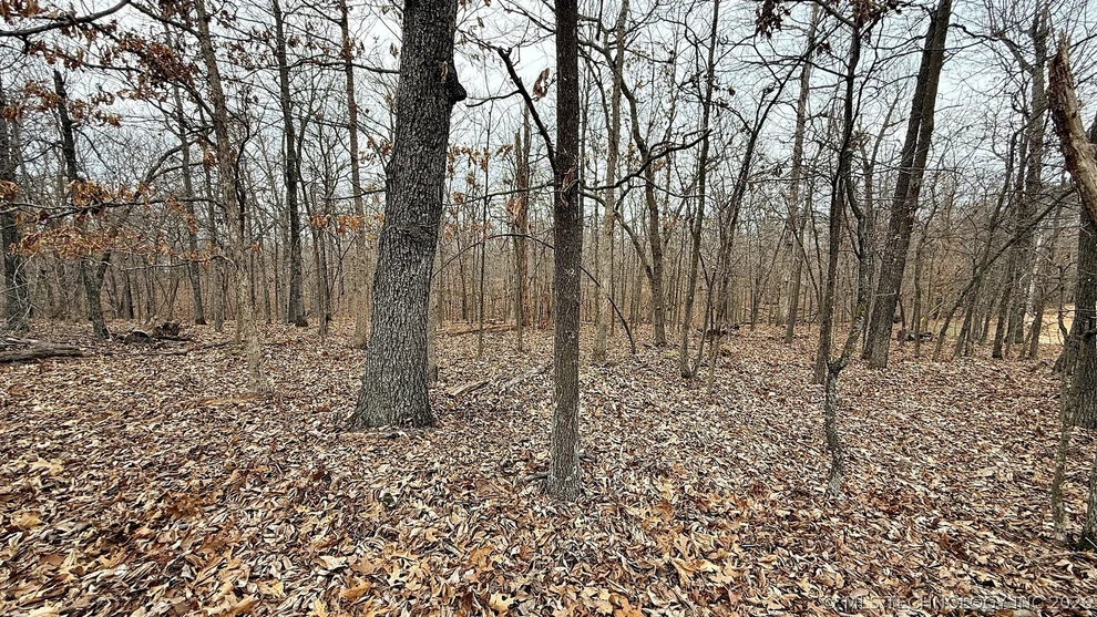 Unit for sale at 23167 Flint Ridge Drive, Kansas, OK 74347