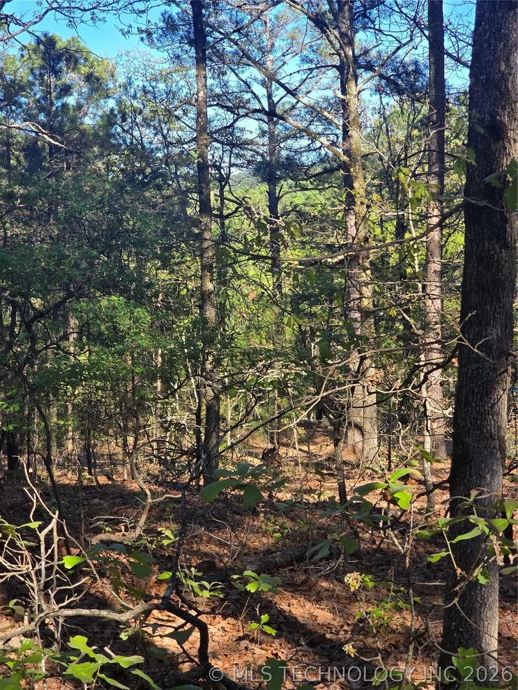 Unit for sale at Wolf Trail, Moyers, OK 74557