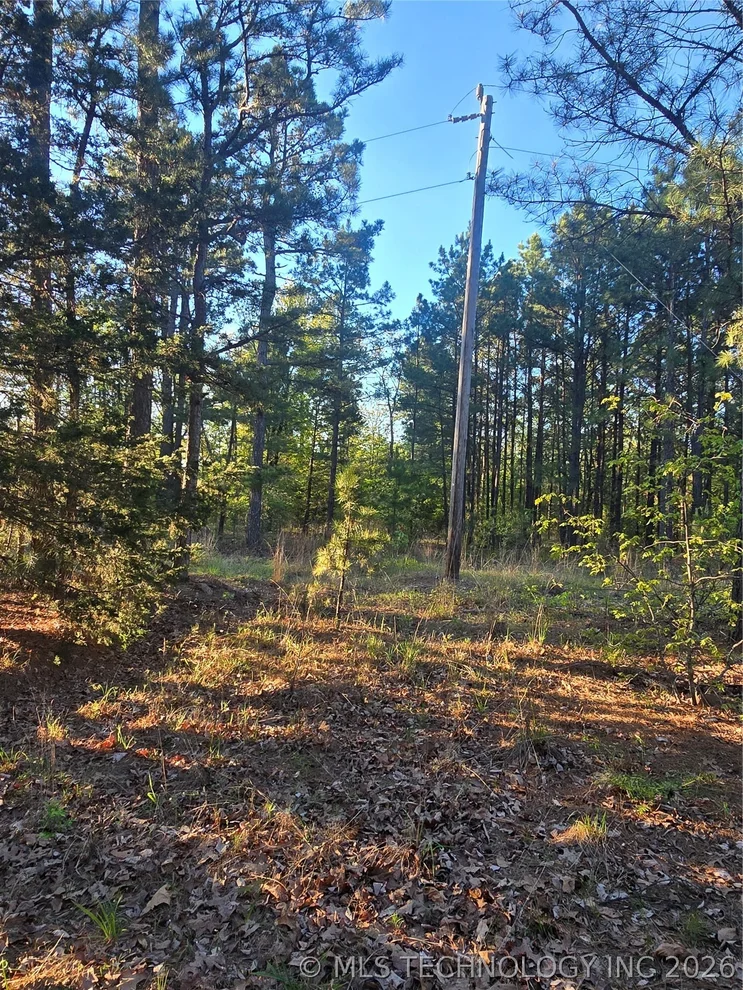 Unit for sale at 77 NE Little Flat Top, Moyers, OK 74523