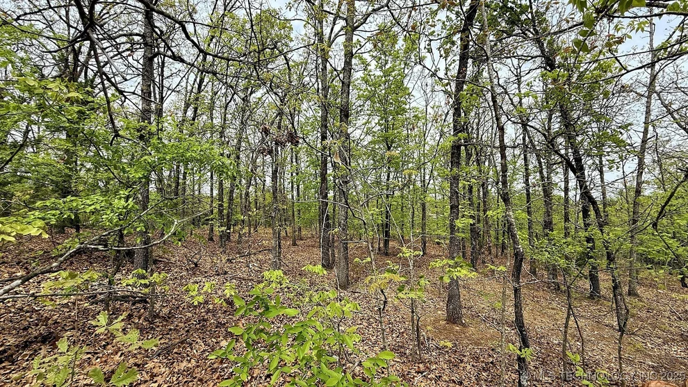 Unit for sale at 15208 Overland Drive, Park Hill, OK 74451