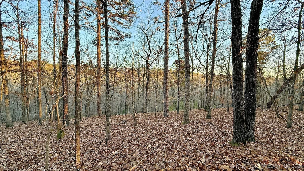 Unit for sale at 246 Red Fox Trail, Kansas, OK 74347
