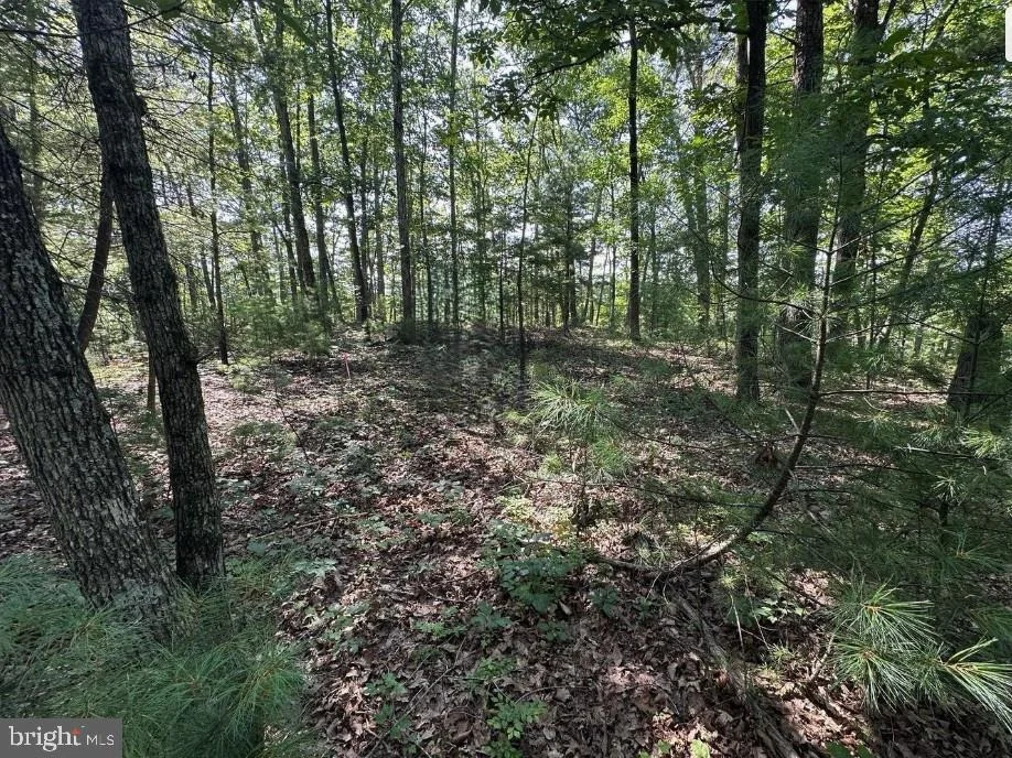 Unit for sale at STOKES AIRPORT ROAD, FRONT ROYAL, VA 22630