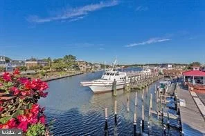 Unit for sale at 223 ABBOTT PARK LANE, LEWES, DE 19958