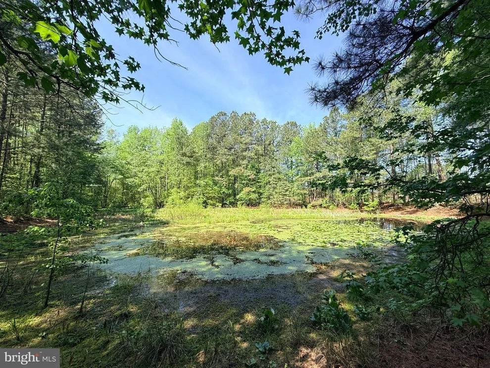 Unit for sale at Lot 96 STURGEON ROAD, LAWRENCEVILLE, VA 23868