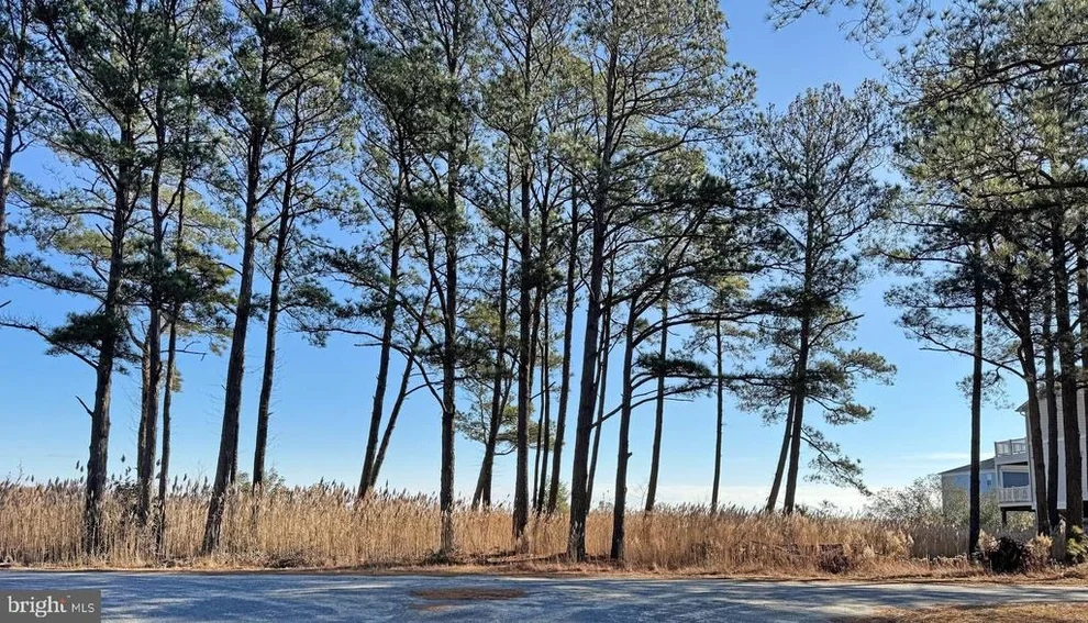 Unit for sale at Lot 718 CASTAWAY DRIVE, GREENBACKVILLE, VA 23356